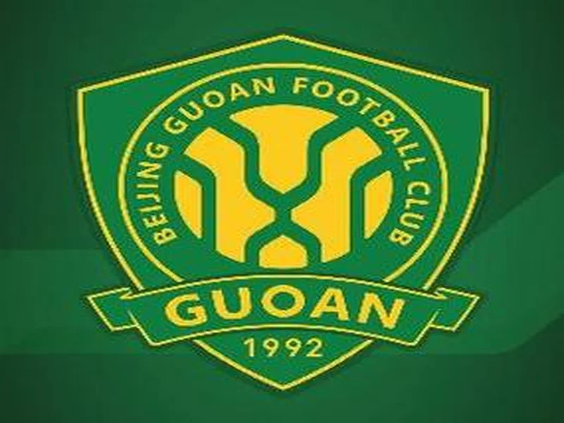 媒体人:布罗萨默任国安总监但不等于总经理,王长庆或负责引援